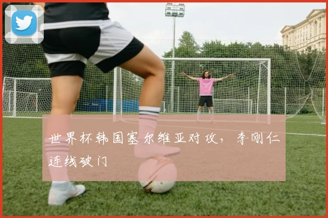 世界杯韩国塞尔维亚对攻,李刚仁连线破门
