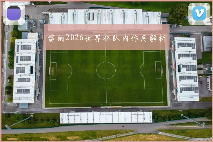雷纳2026世界杯队内作用解析