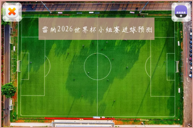 雷纳2026世界杯小组赛进球预测